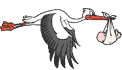 cigogne_009