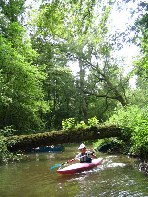 canoe